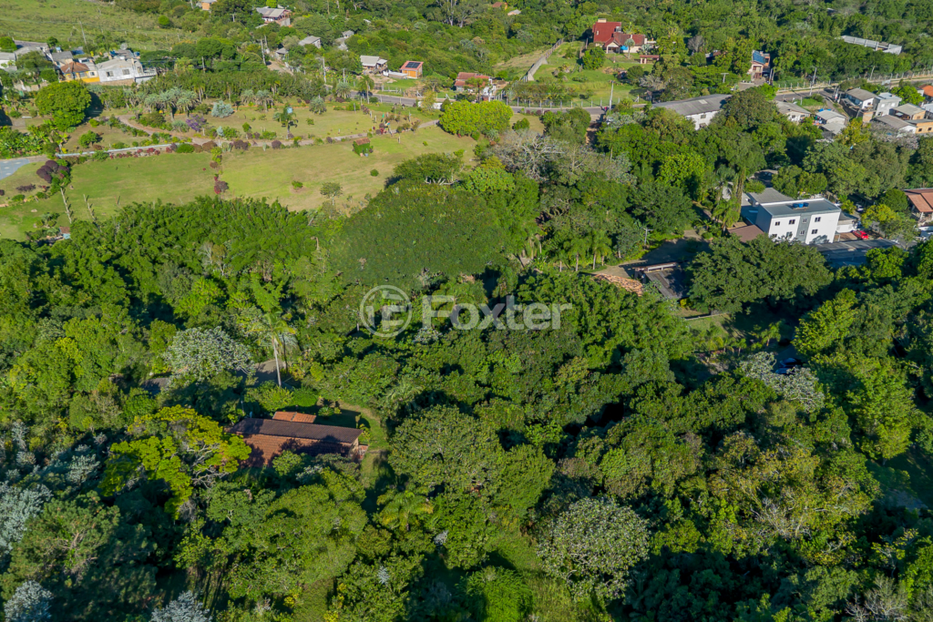 Sítio à venda com 4 quartos, 82032m² - Foto 59