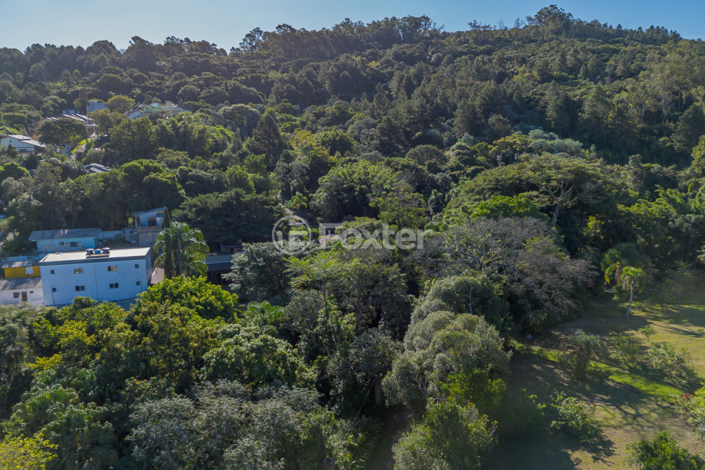 Sítio à venda com 4 quartos, 82032m² - Foto 61