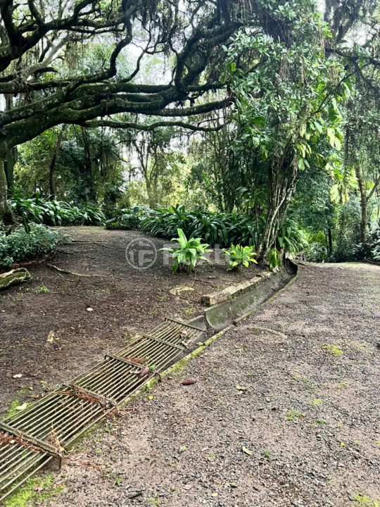 Casa à venda com 4 quartos, 160m² - Foto 13