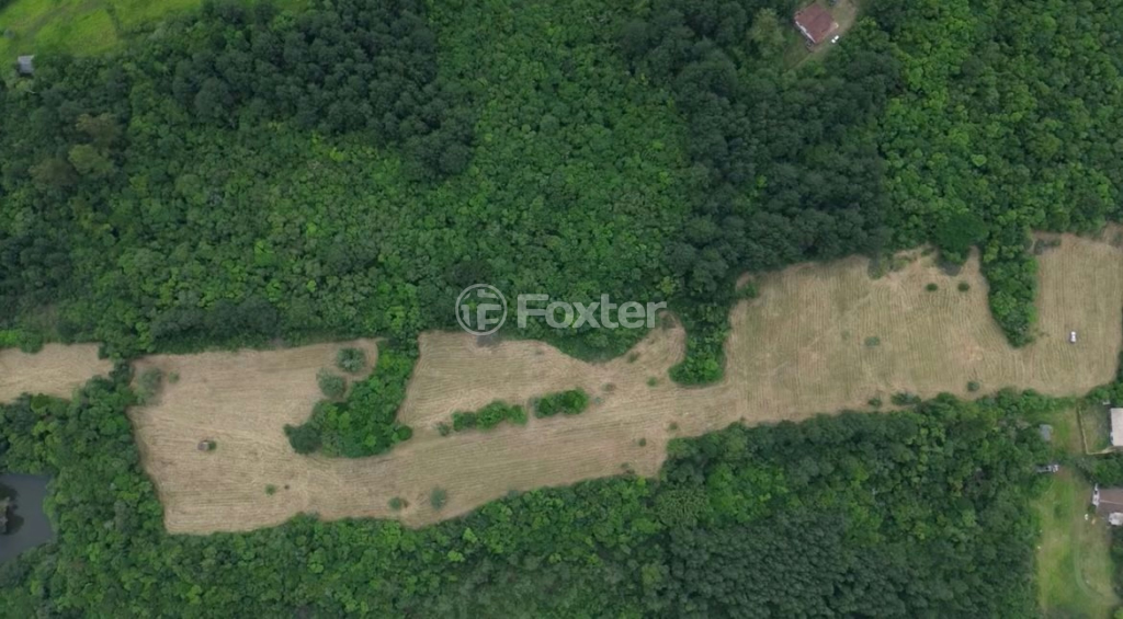 Sítio à venda, 50000m² - Foto 3