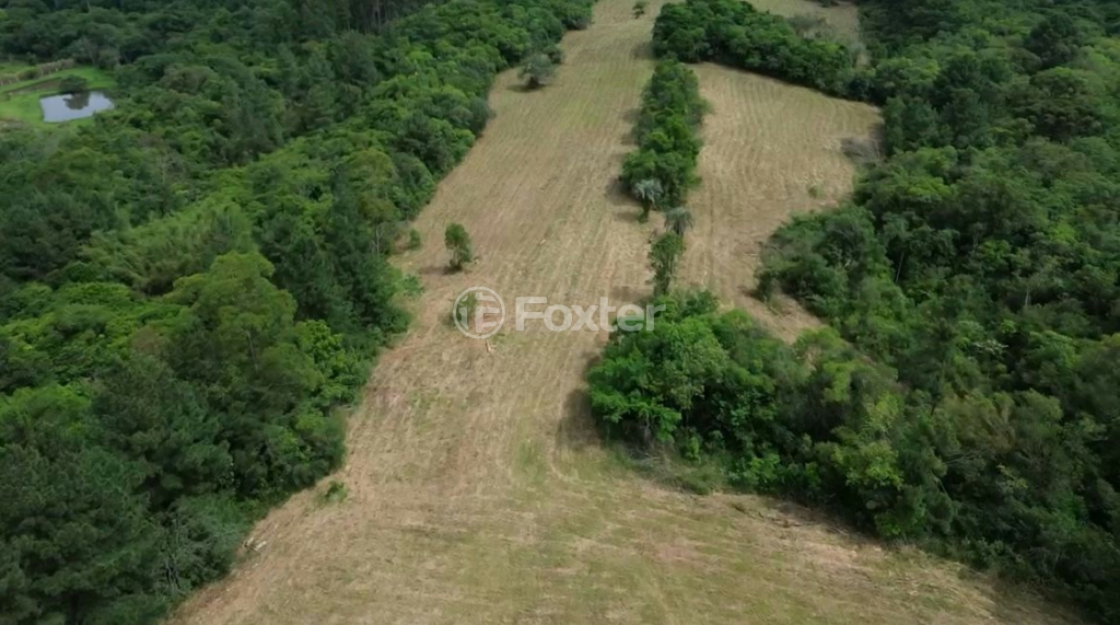 Sítio à venda, 50000m² - Foto 2