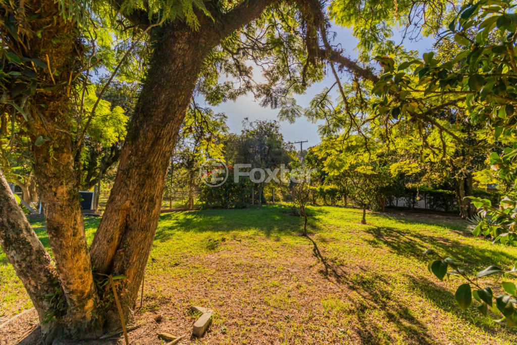Sítio à venda com 3 quartos, 100m² - Foto 88