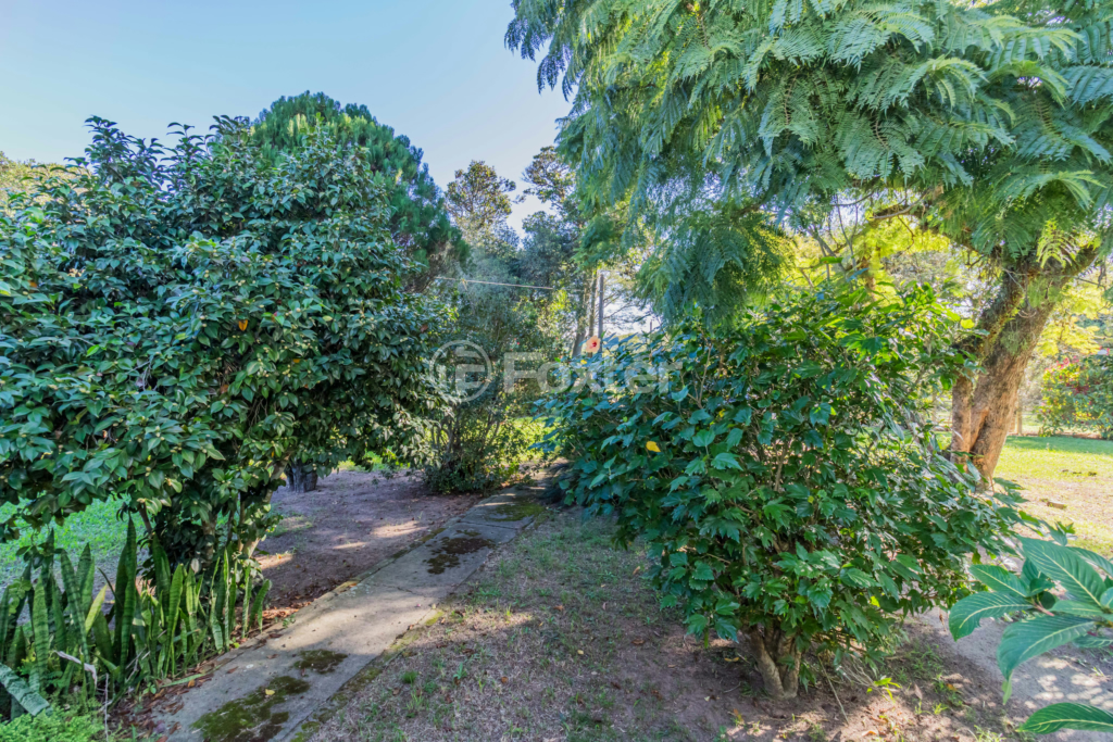 Sítio à venda com 3 quartos, 100m² - Foto 76