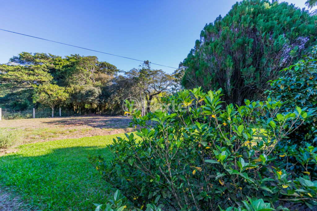 Sítio à venda com 3 quartos, 100m² - Foto 13