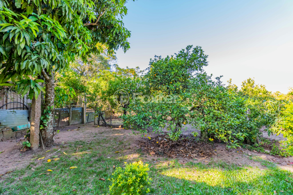 Sítio à venda com 3 quartos, 100m² - Foto 51