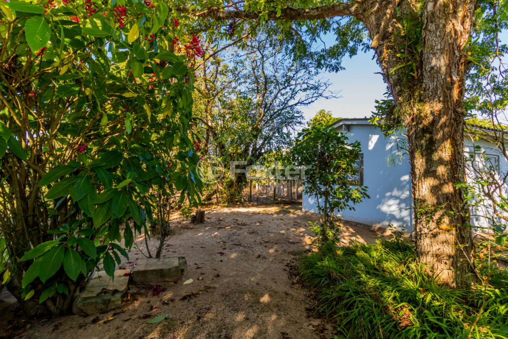 Sítio à venda com 3 quartos, 100m² - Foto 59