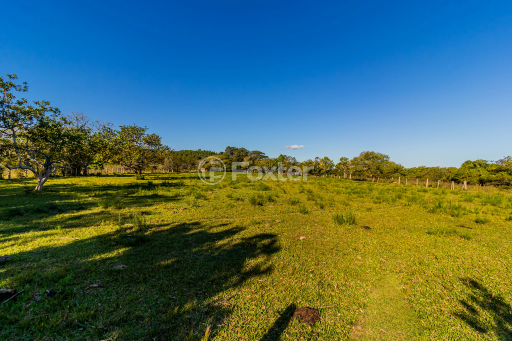 Sítio à venda com 3 quartos, 100m² - Foto 63