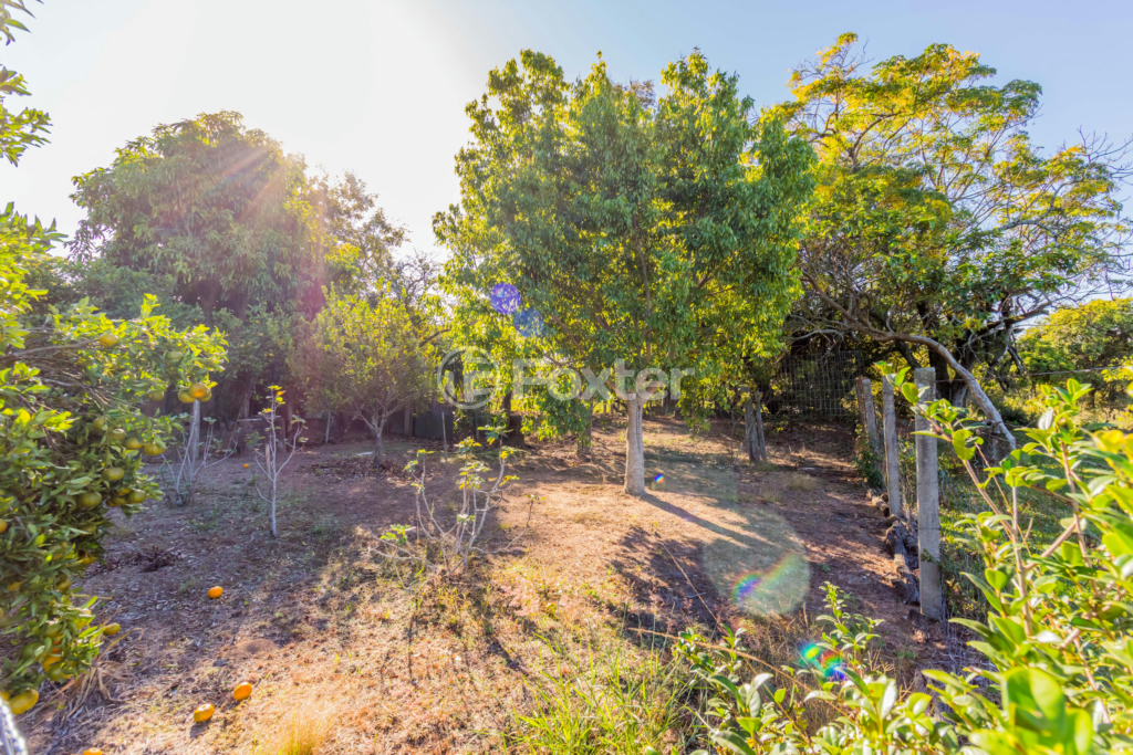 Sítio à venda com 3 quartos, 100m² - Foto 64