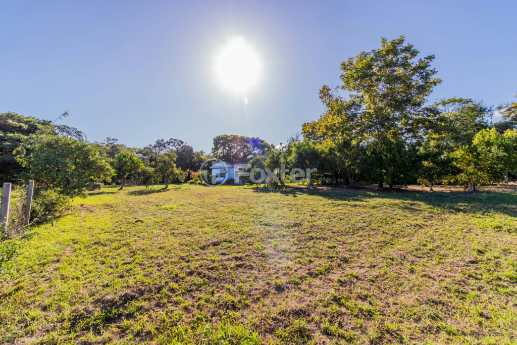 Sítio à venda com 3 quartos, 100m² - Foto 66