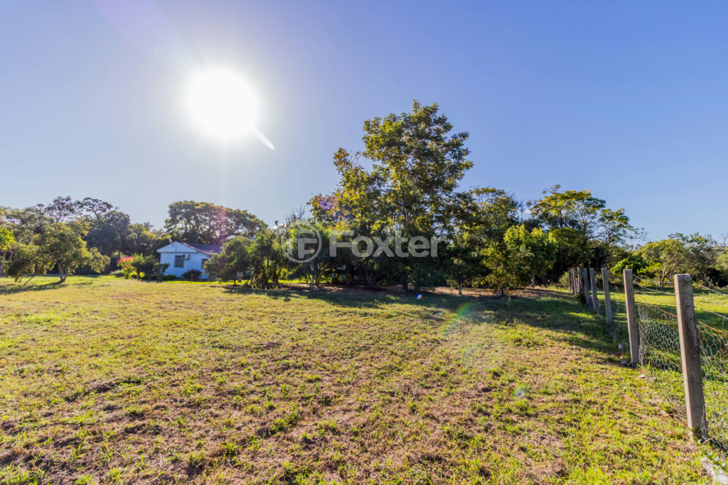 Sítio à venda com 3 quartos, 100m² - Foto 68