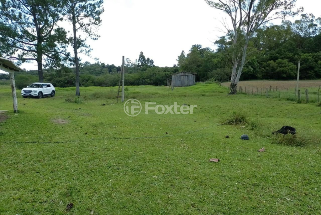 Sítio à venda com 3 quartos, 20000m² - Foto 6