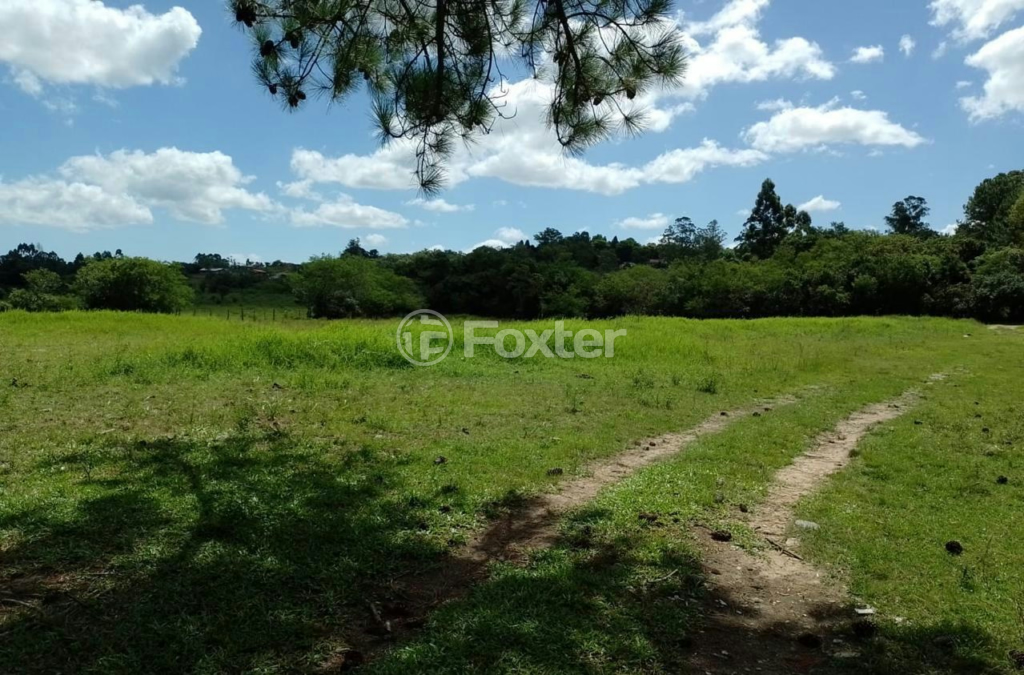 Sítio à venda com 3 quartos, 20000m² - Foto 10