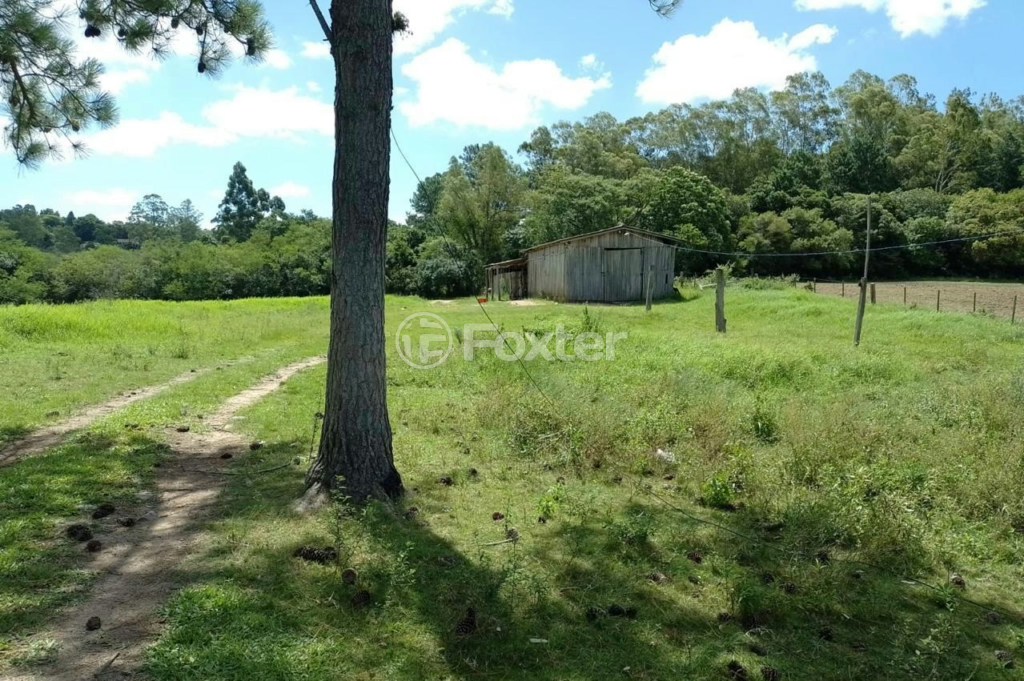 Sítio à venda com 3 quartos, 20000m² - Foto 9