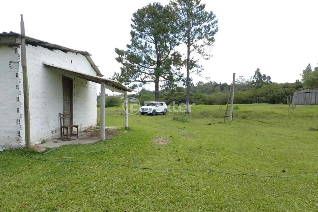 Sítio à venda com 3 quartos, 20000m² - Foto 5
