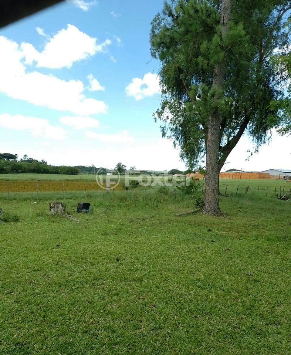 Sítio à venda com 3 quartos, 20000m² - Foto 3