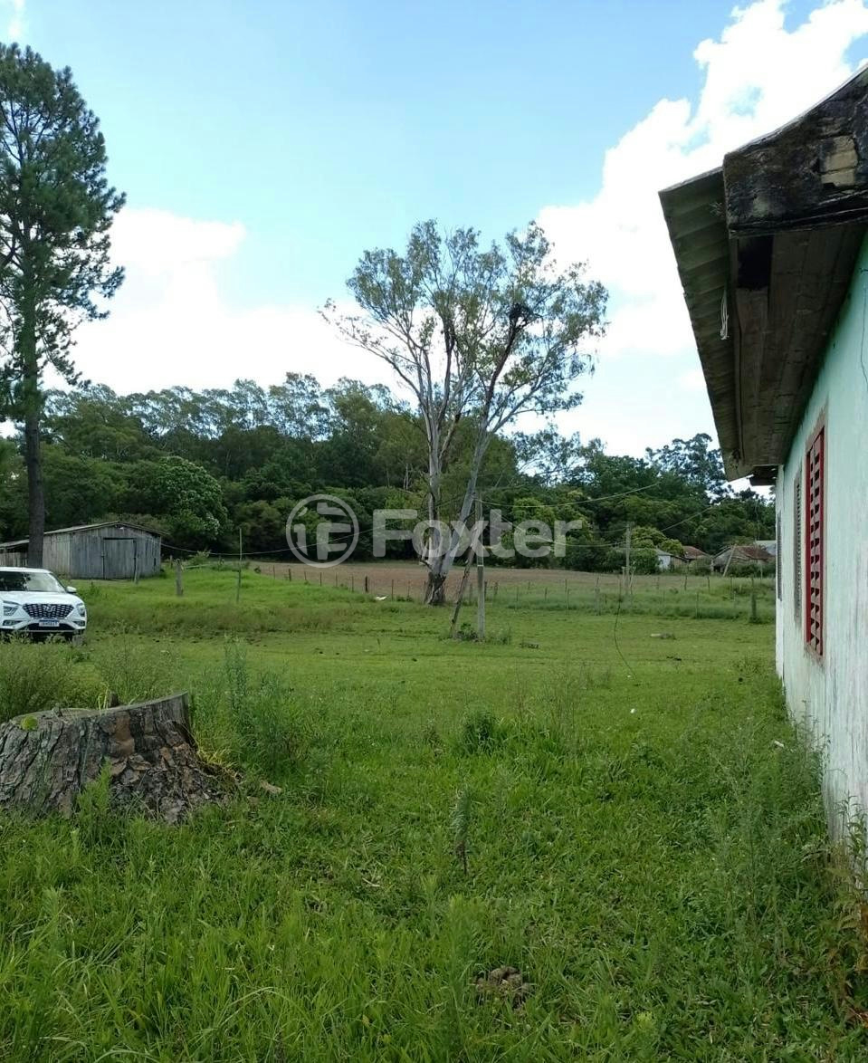 Sítio à venda com 3 quartos, 20000m² - Foto 4