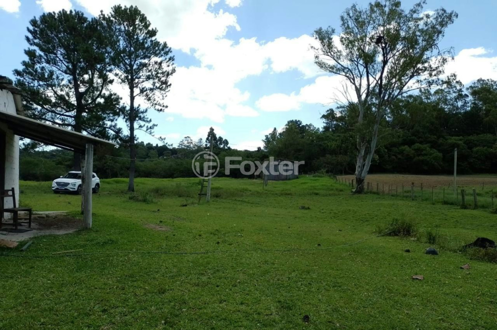 Sítio à venda com 3 quartos, 20000m² - Foto 8