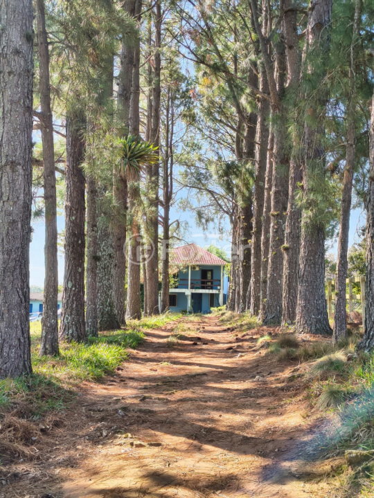 Sítio à venda com 3 quartos, 200m² - Foto 2