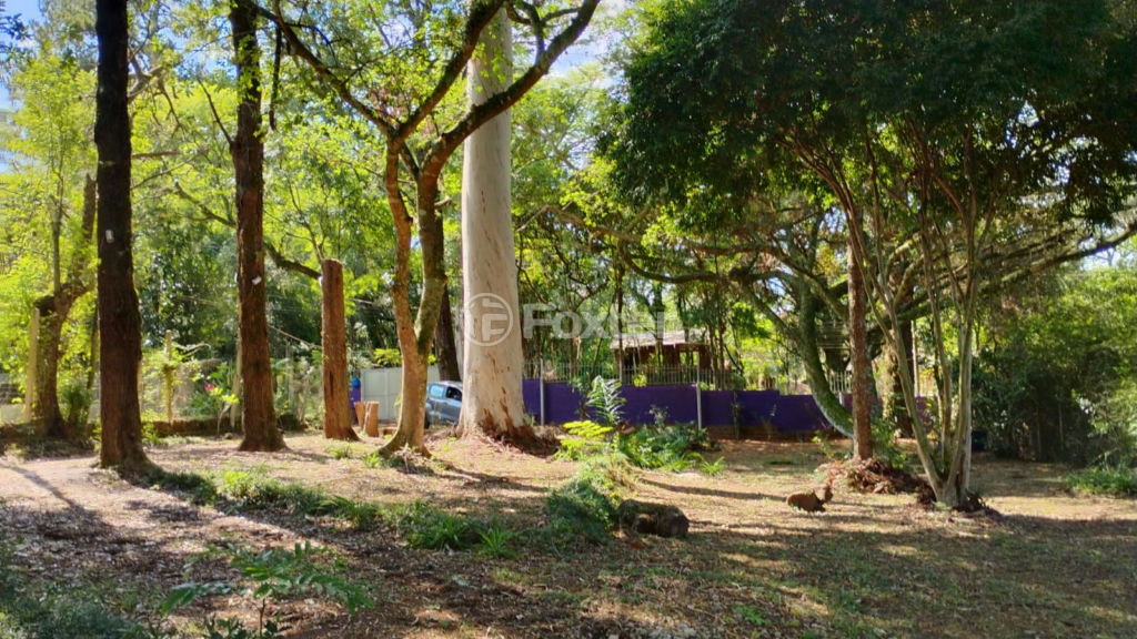Fazenda à venda com 1 quarto, 3000m² - Foto 10