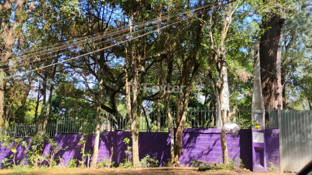 Fazenda à venda com 1 quarto, 3000m² - Foto 12