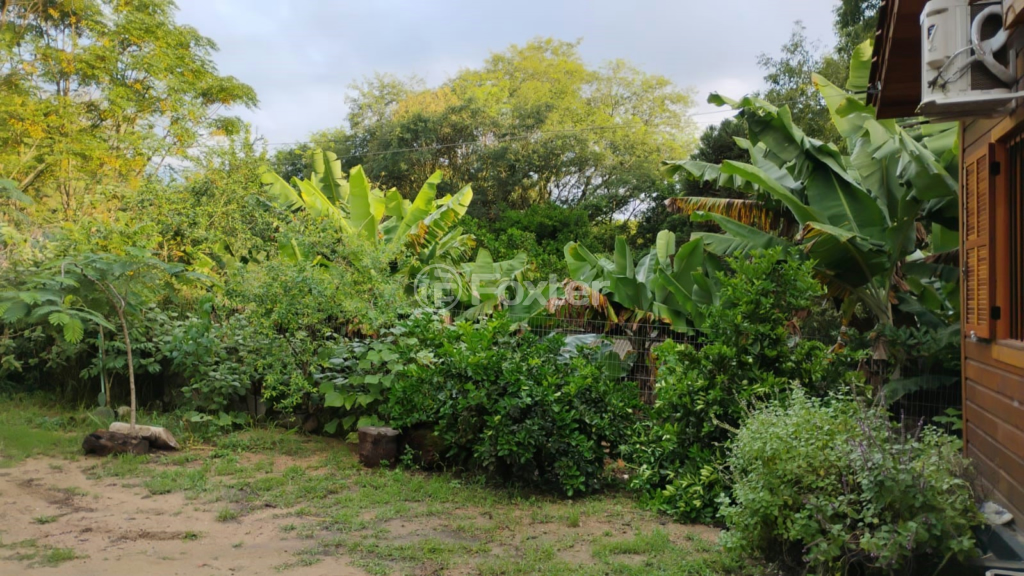 Fazenda à venda com 1 quarto, 3000m² - Foto 13