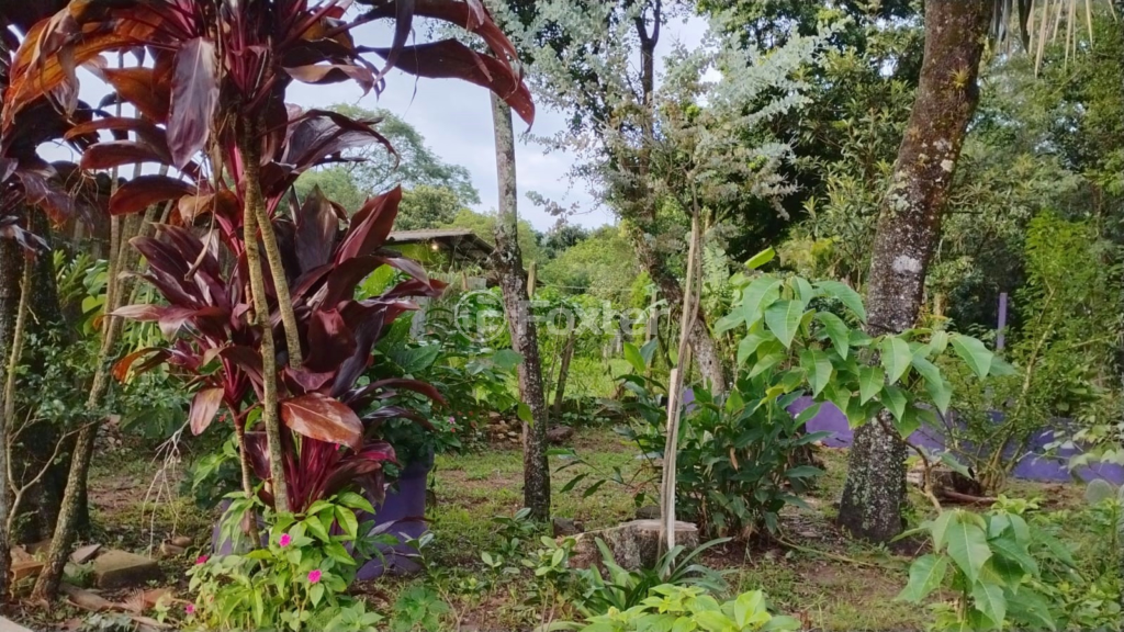 Fazenda à venda com 1 quarto, 3000m² - Foto 16