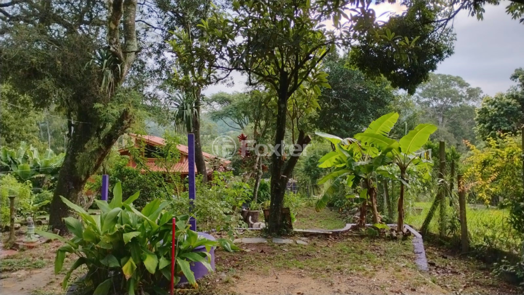 Fazenda à venda com 1 quarto, 3000m² - Foto 15