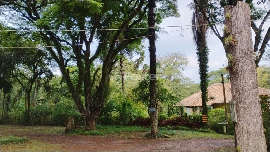 Fazenda à venda com 1 quarto, 3000m² - Foto 14