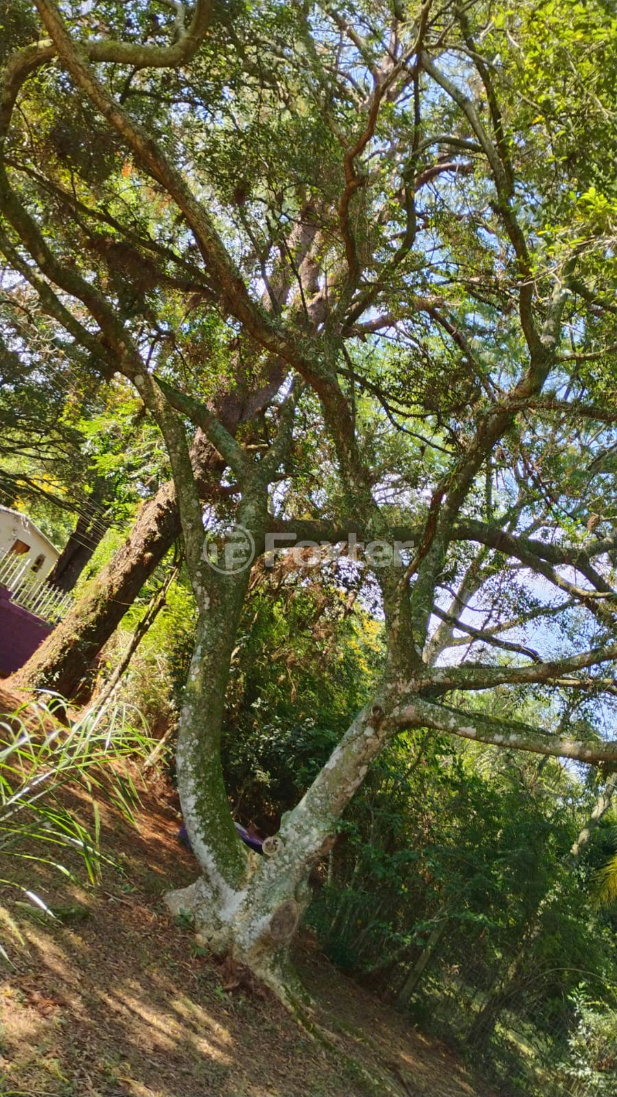 Chácara à venda com 1 quarto, 72m² - Foto 42