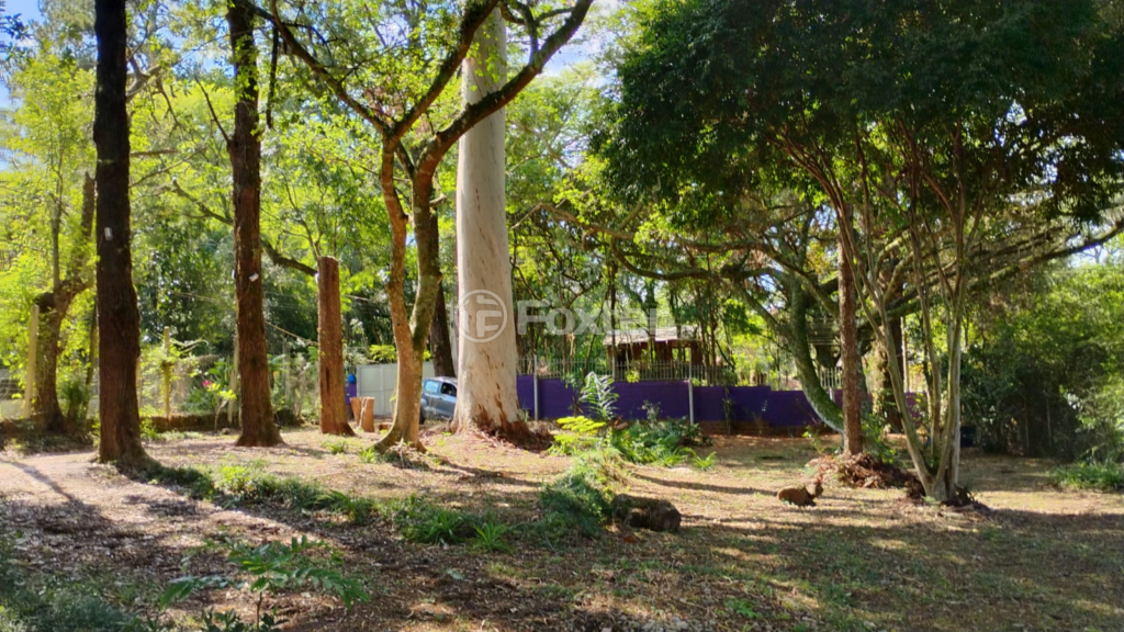Chácara à venda com 1 quarto, 72m² - Foto 27