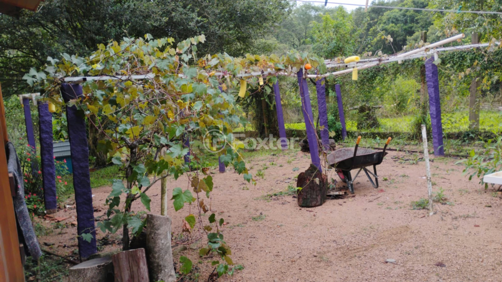 Chácara à venda com 1 quarto, 72m² - Foto 43