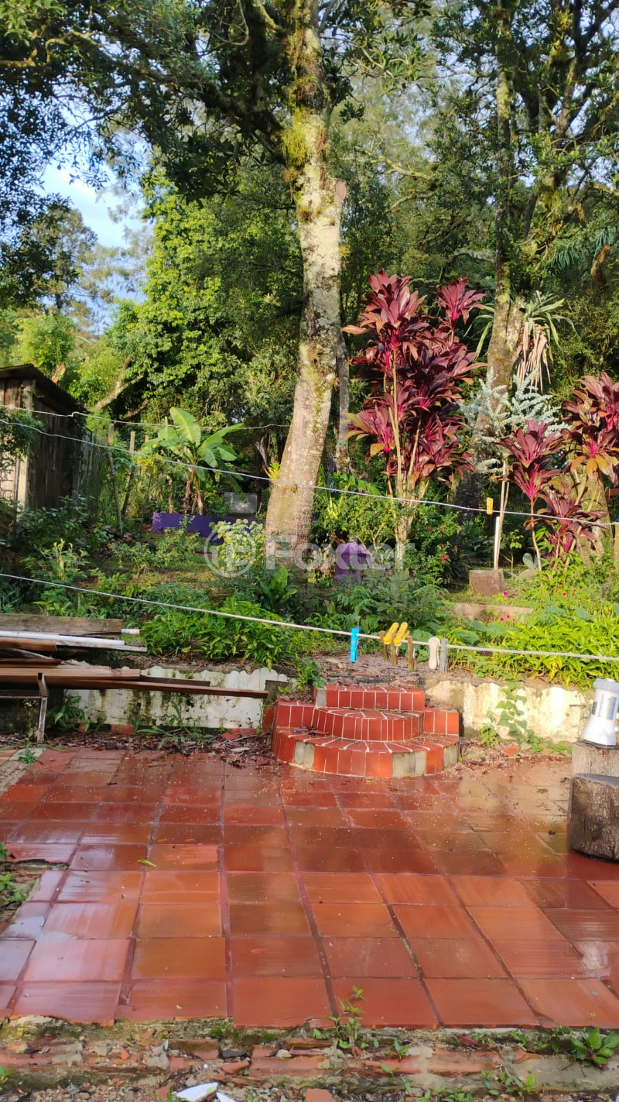 Chácara à venda com 1 quarto, 72m² - Foto 33