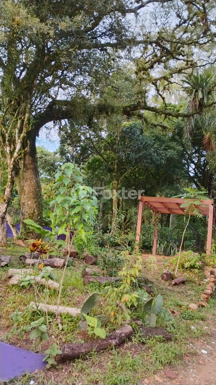 Chácara à venda com 1 quarto, 72m² - Foto 24