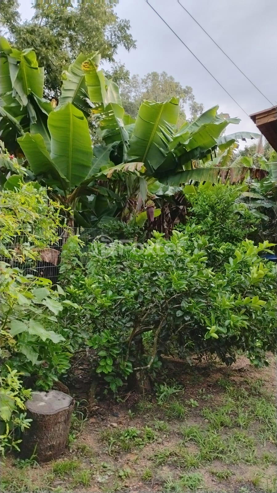 Chácara à venda com 1 quarto, 72m² - Foto 3