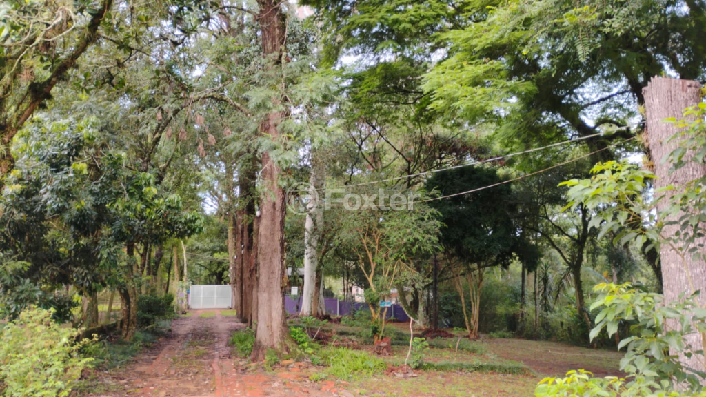 Chácara à venda com 1 quarto, 72m² - Foto 23