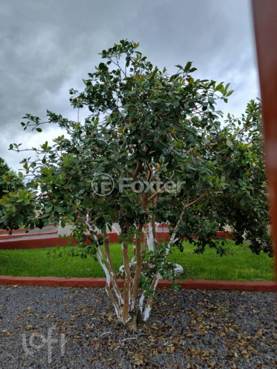 Casa à venda com 3 quartos, 110m² - Foto 24