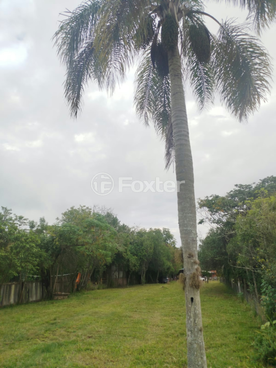 Sítio à venda com 2 quartos, 1710m² - Foto 15