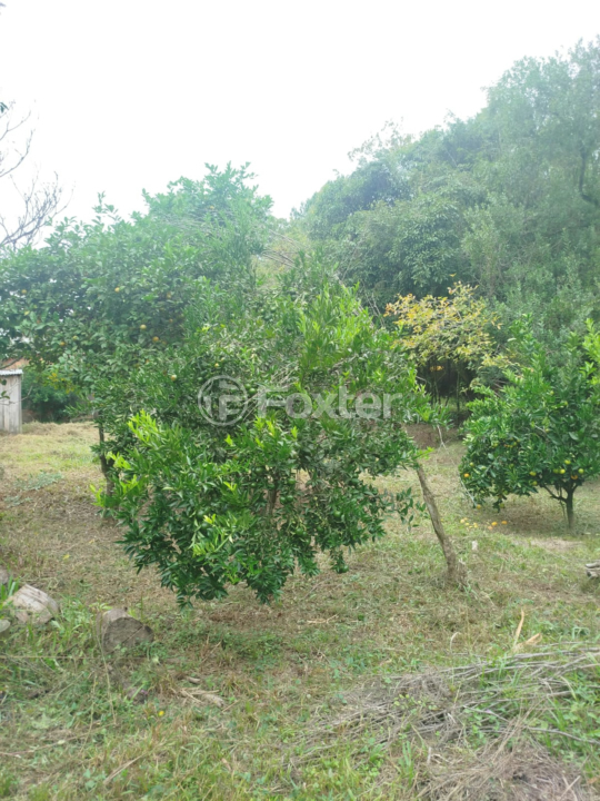 Sítio à venda com 2 quartos, 1710m² - Foto 14