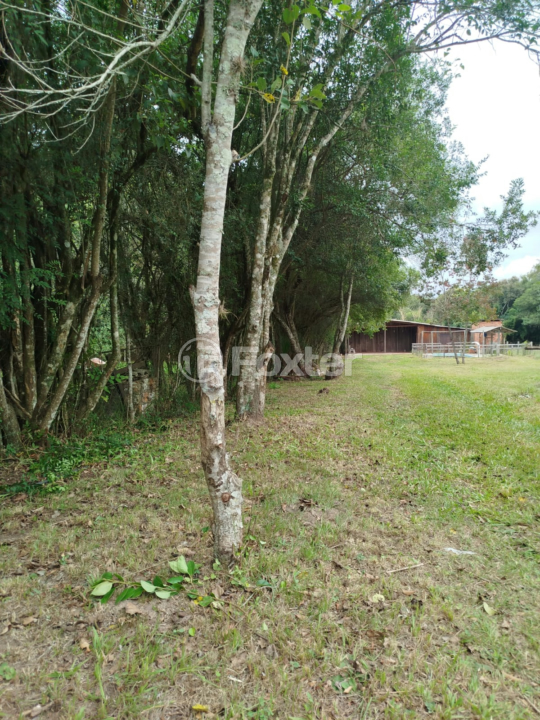Sítio à venda com 2 quartos, 1710m² - Foto 11