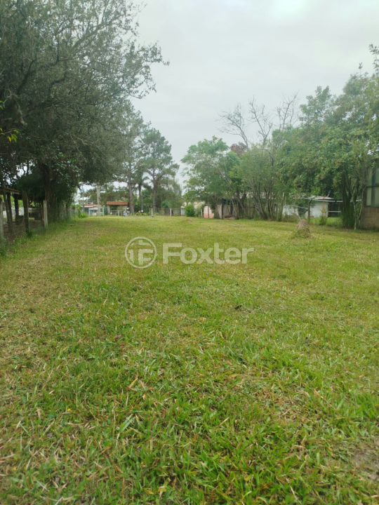 Sítio à venda com 2 quartos, 1710m² - Foto 9