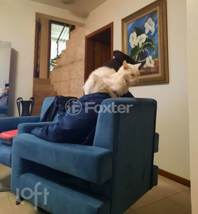 Casa à venda com 4 quartos, 186m² - Foto 7