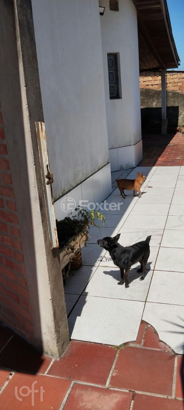 Casa à venda com 3 quartos, 95m² - Foto 21