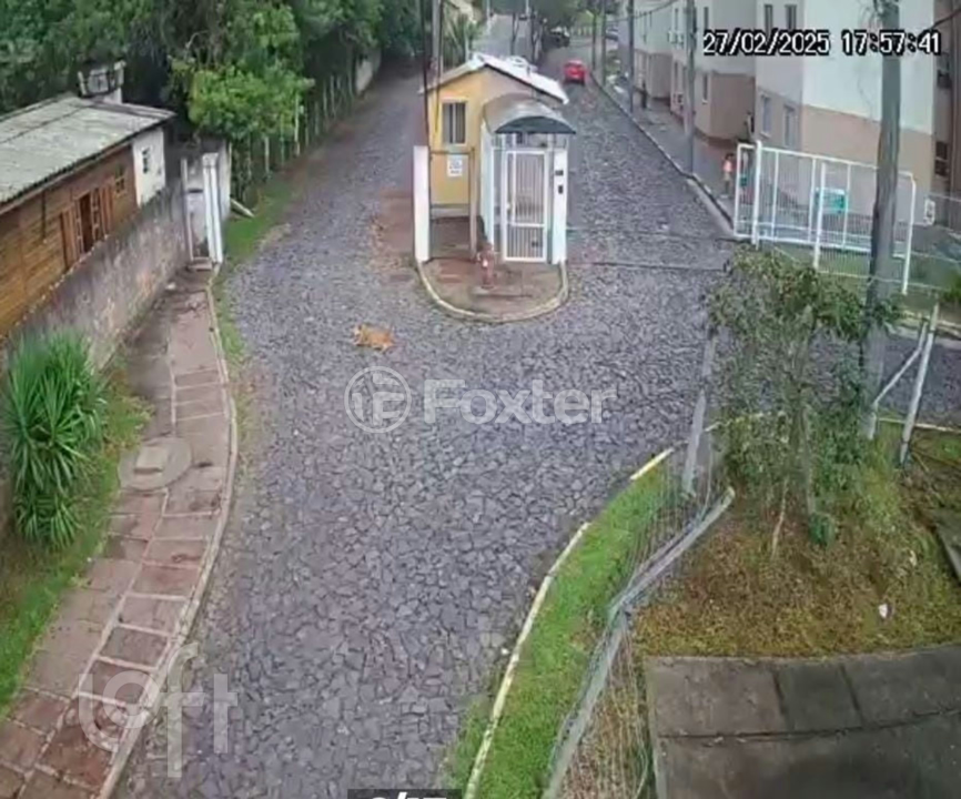 Apartamento à venda com 2 quartos, 38m² - Foto 11