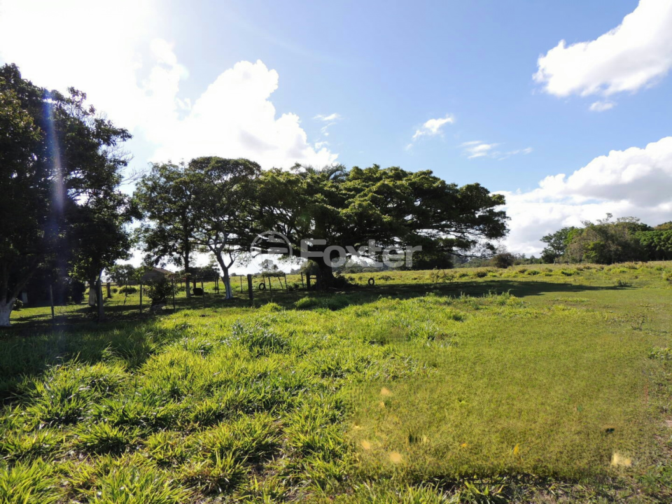 Fazenda à venda com 4 quartos, 9829m² - Foto 2