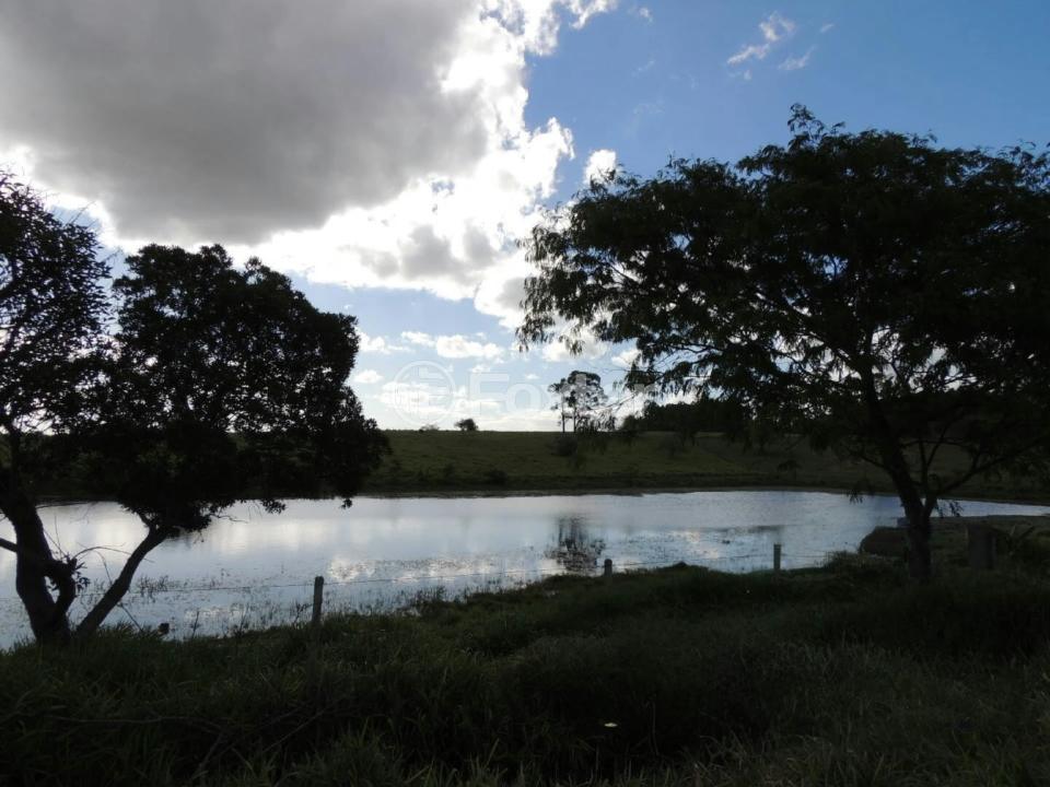 Fazenda à venda com 4 quartos, 9829m² - Foto 1