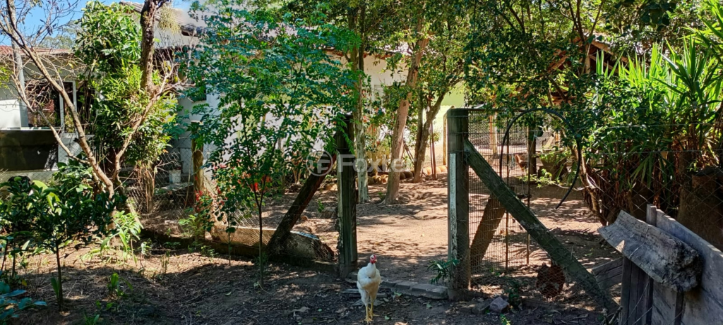 Sítio à venda com 4 quartos, 150m² - Foto 15