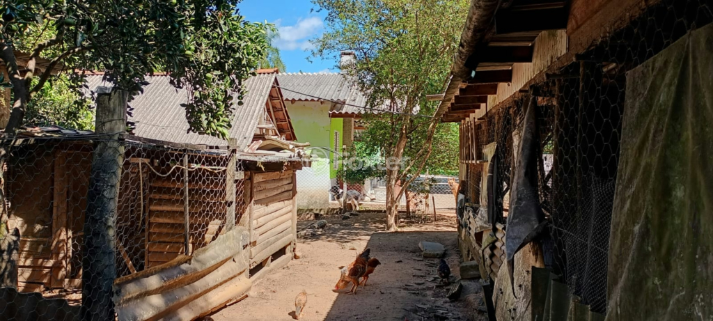 Sítio à venda com 4 quartos, 150m² - Foto 14