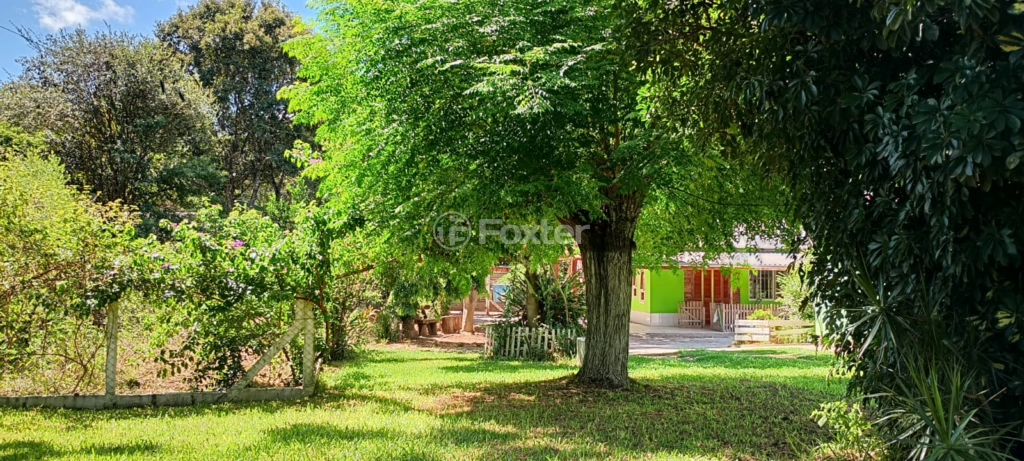 Sítio à venda com 4 quartos, 150m² - Foto 16