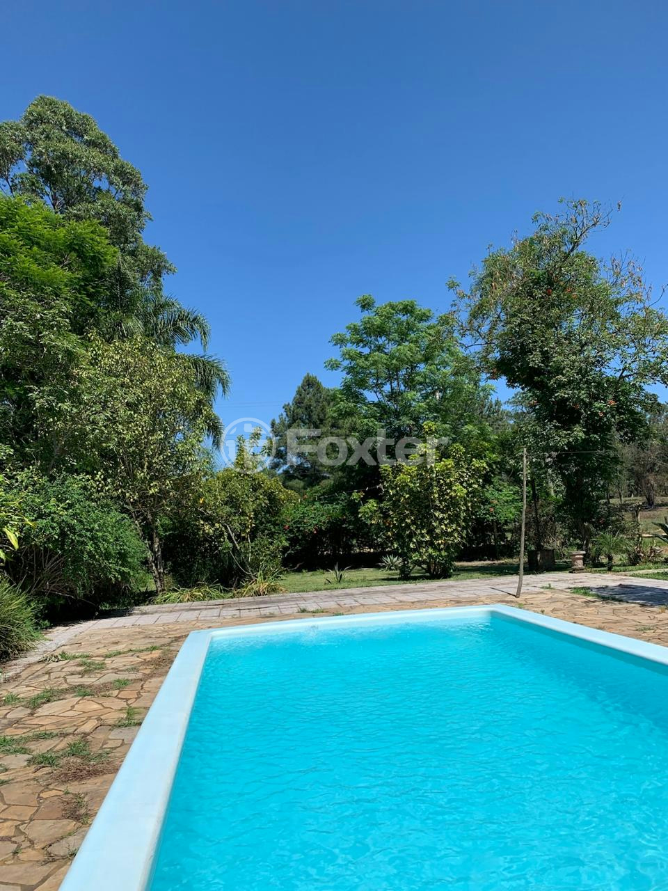 Sítio à venda com 4 quartos, 150m² - Foto 3
