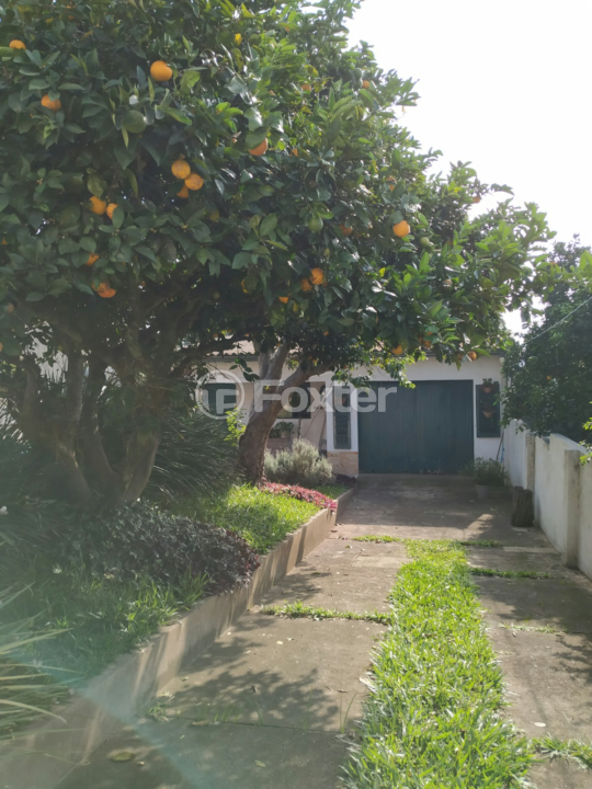Casa à venda com 5 quartos, 115m² - Foto 55